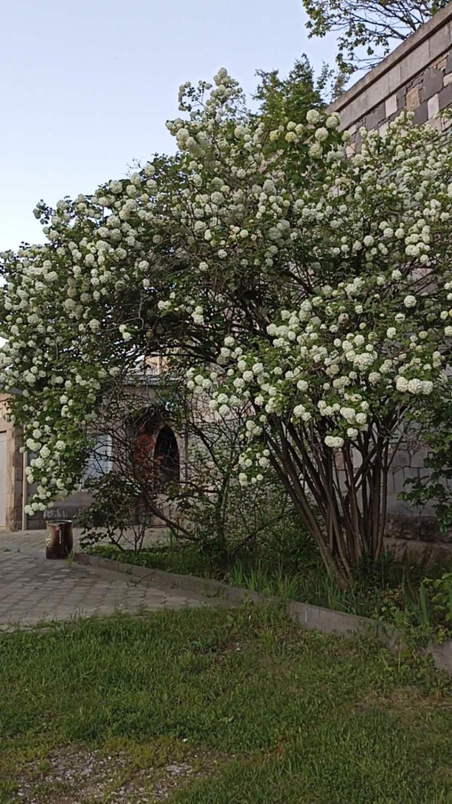 Luse Guest House Ijevan Eksteriør bilde