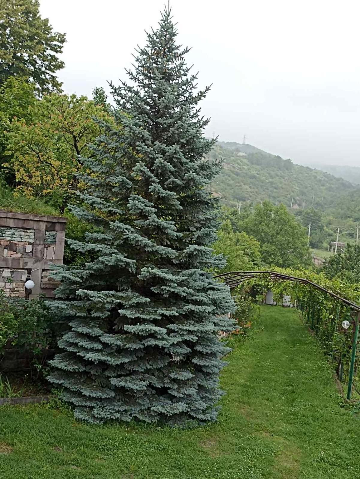Luse Guest House Ijevan Eksteriør bilde